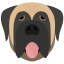 Mastiff