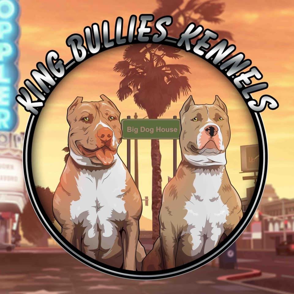 King Bullies Kennels