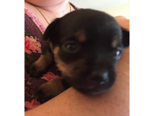 homes for sale by owner in hudson ohio