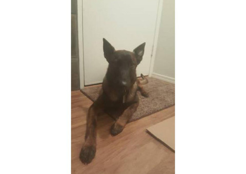 8 months old now