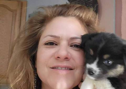 Registered Mini Australian Shepherd puppies